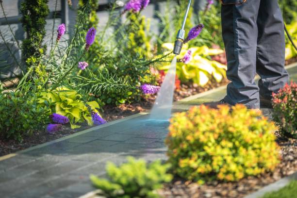 Trusted Dumas, AR Pressure Washing Experts